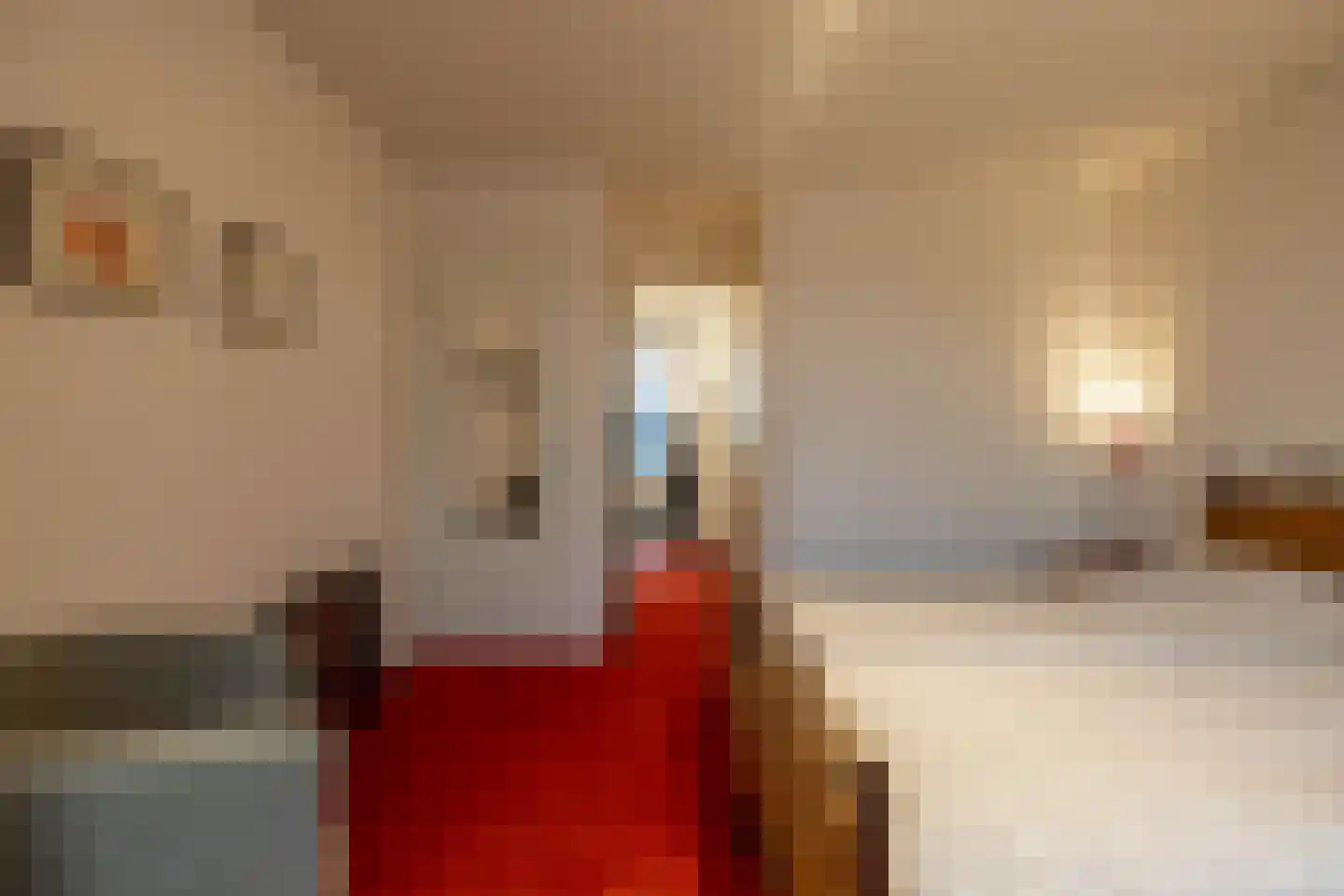 Kleine Leliestraat 29 a Groningen thumbnail 15