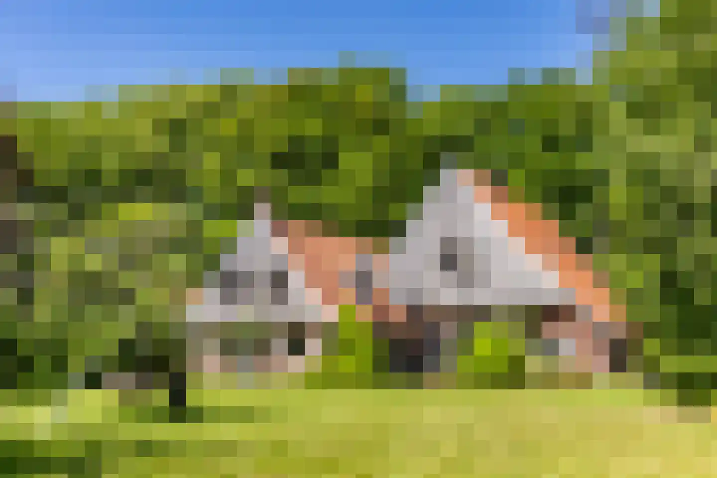 Kleine Linderesweg 50 en Enschede