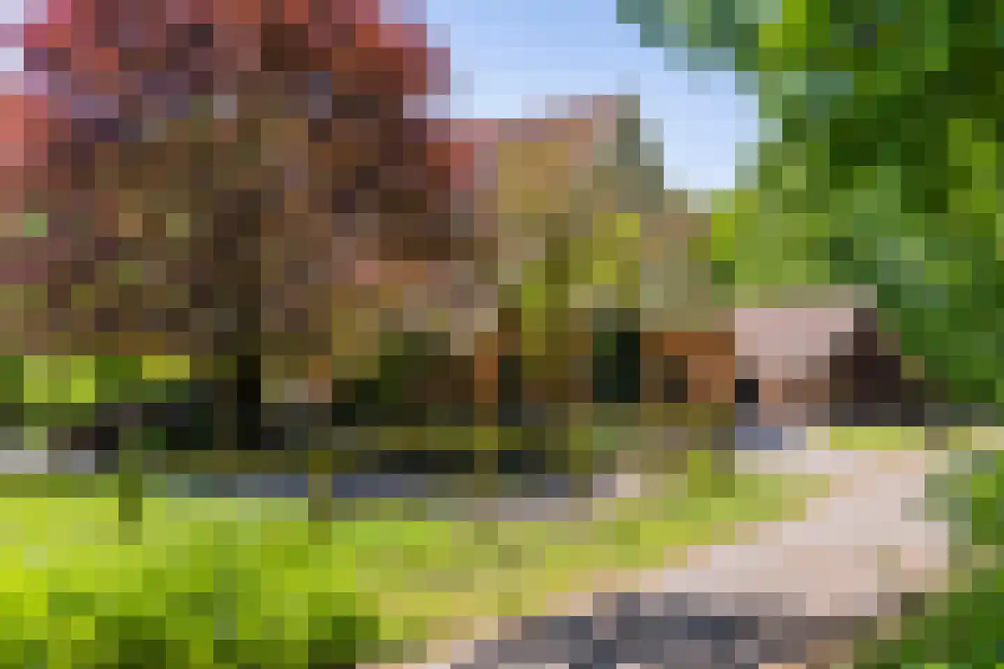 Kleine Linderesweg 50 Enschede thumbnail 11