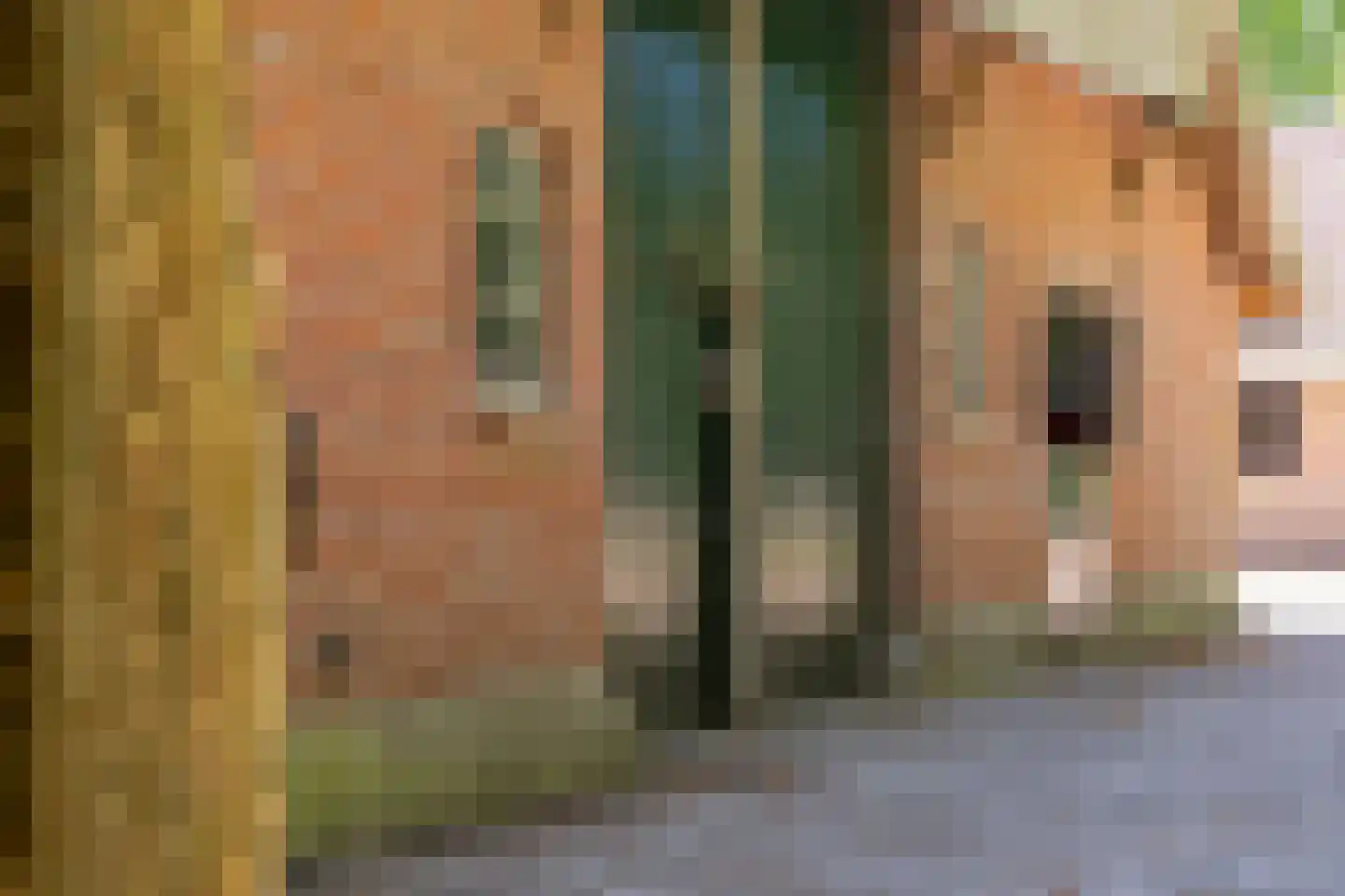 Kleine Linderesweg 50 Enschede thumbnail 14