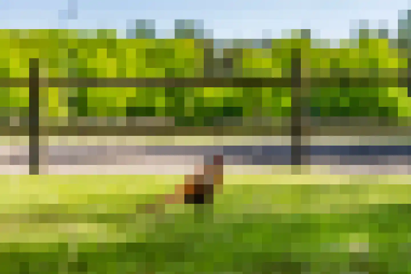 Kleine Linderesweg 50 Enschede thumbnail 16