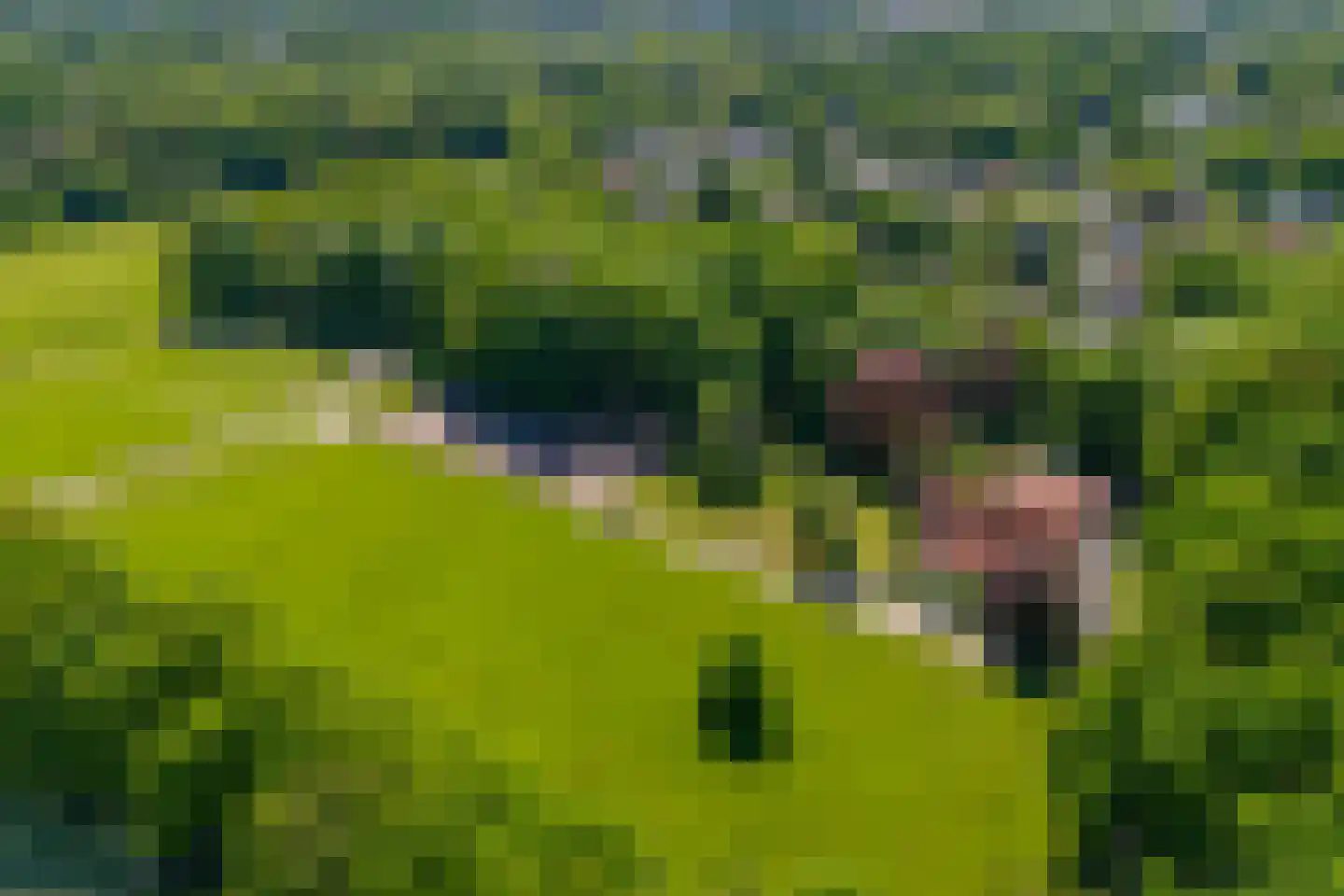 Kleine Linderesweg 50 Enschede thumbnail 4