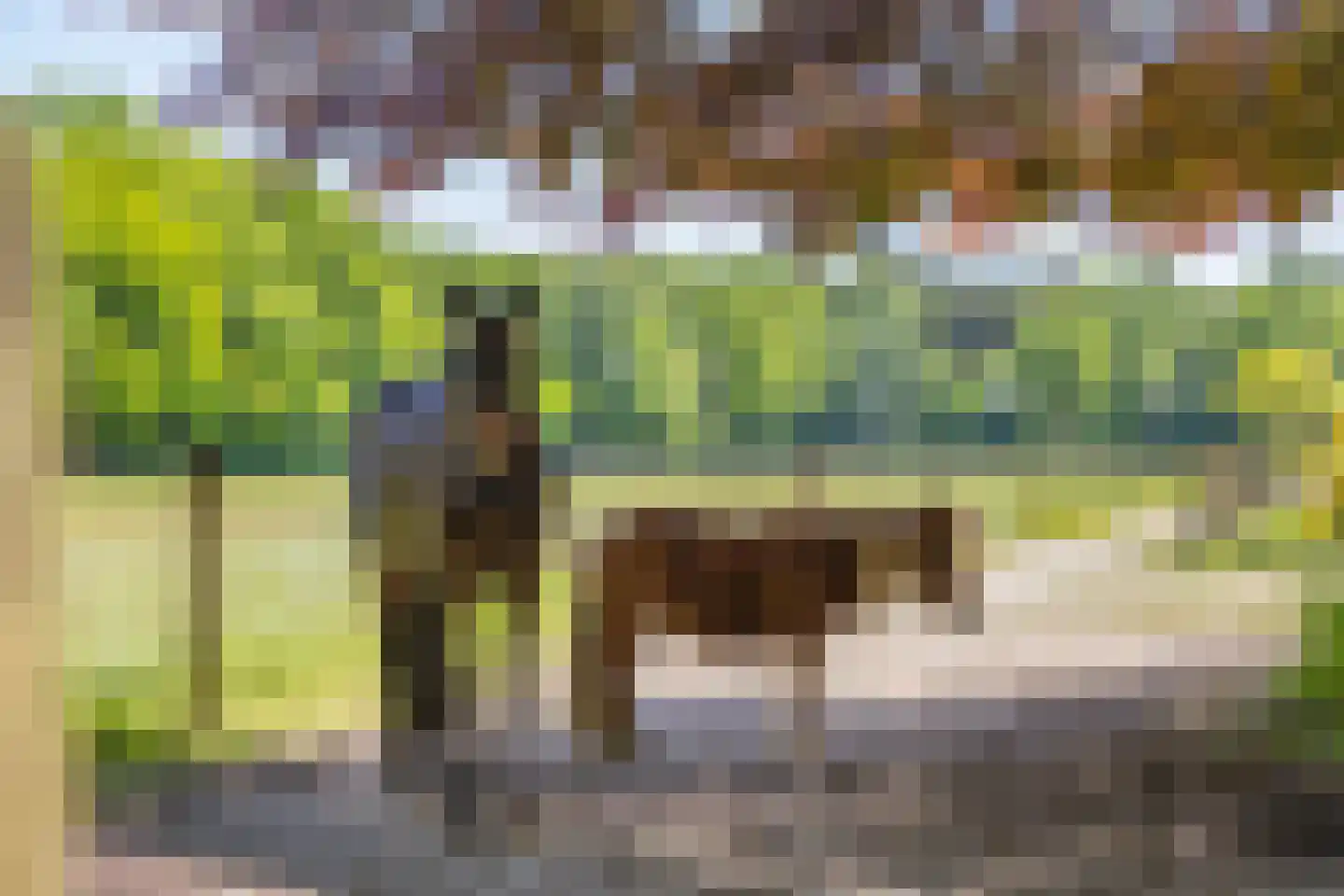 Kleine Linderesweg 50 Enschede thumbnail 43