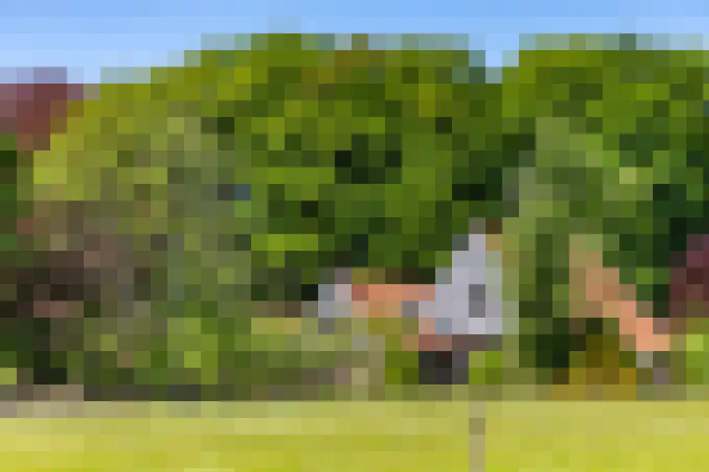 Kleine Linderesweg 50 Enschede thumbnail 45