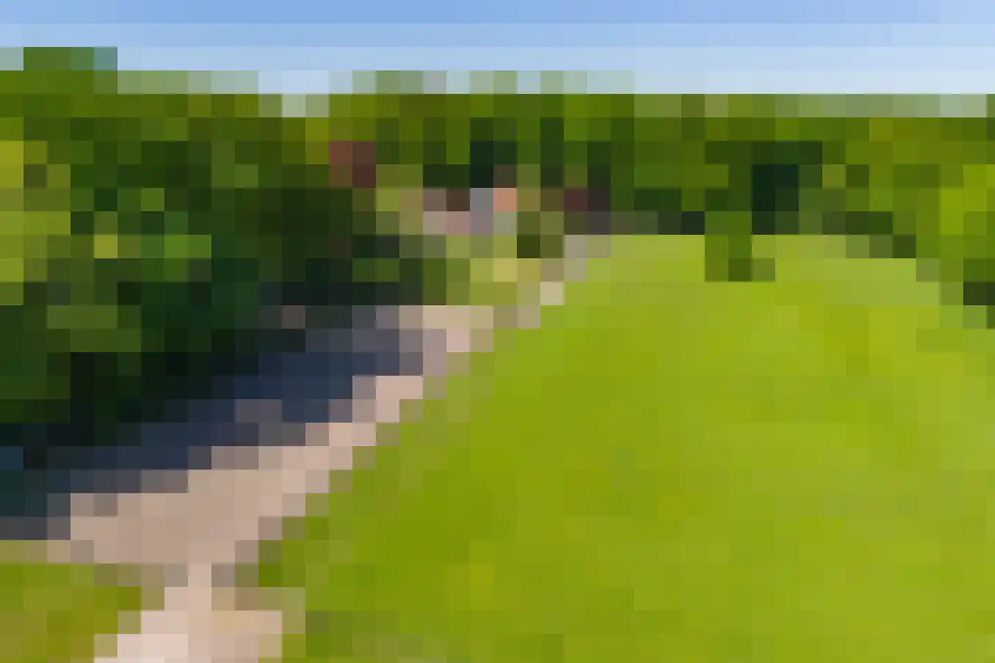 Kleine Linderesweg 50 Enschede thumbnail 5