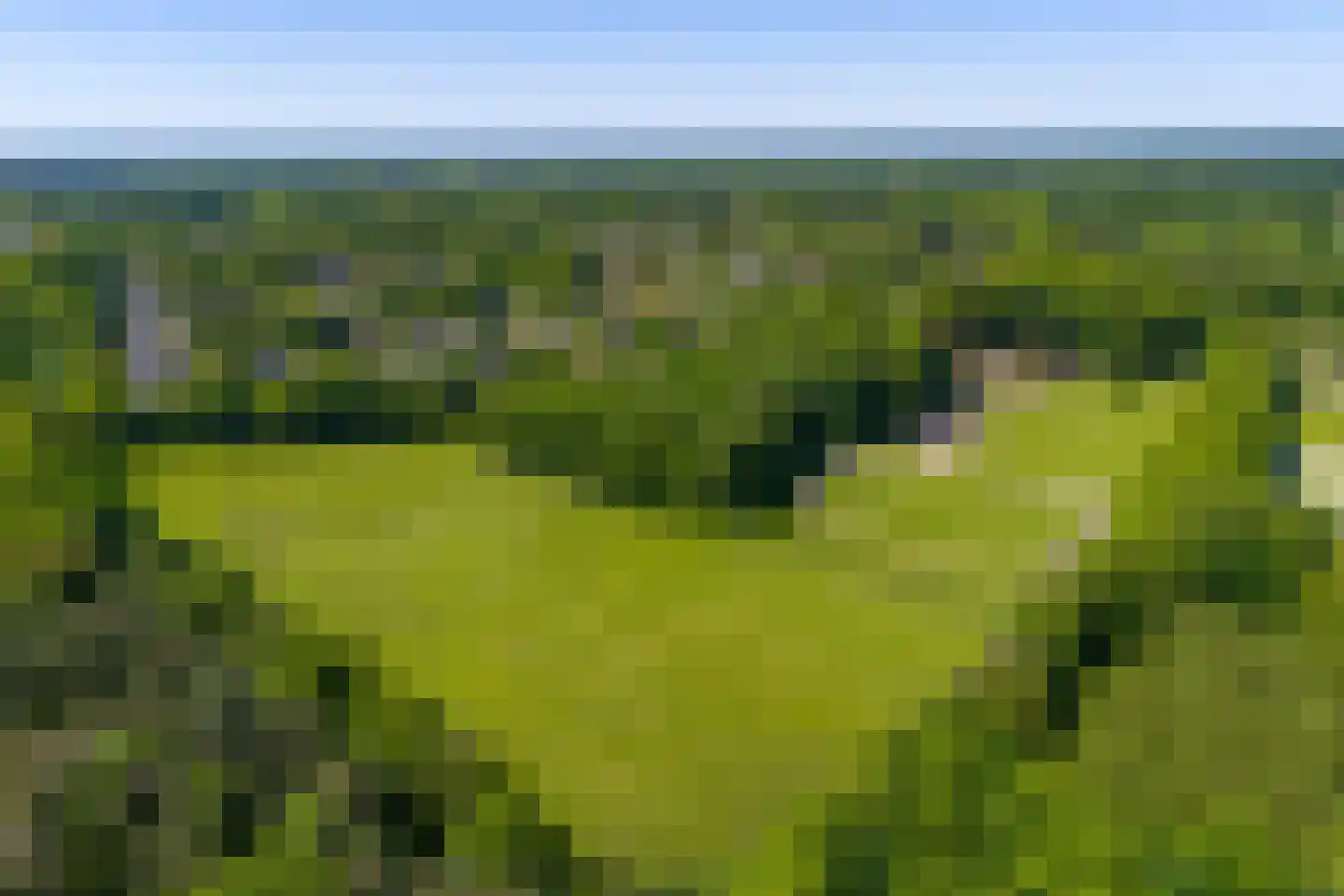 Kleine Linderesweg 50 Enschede thumbnail 7