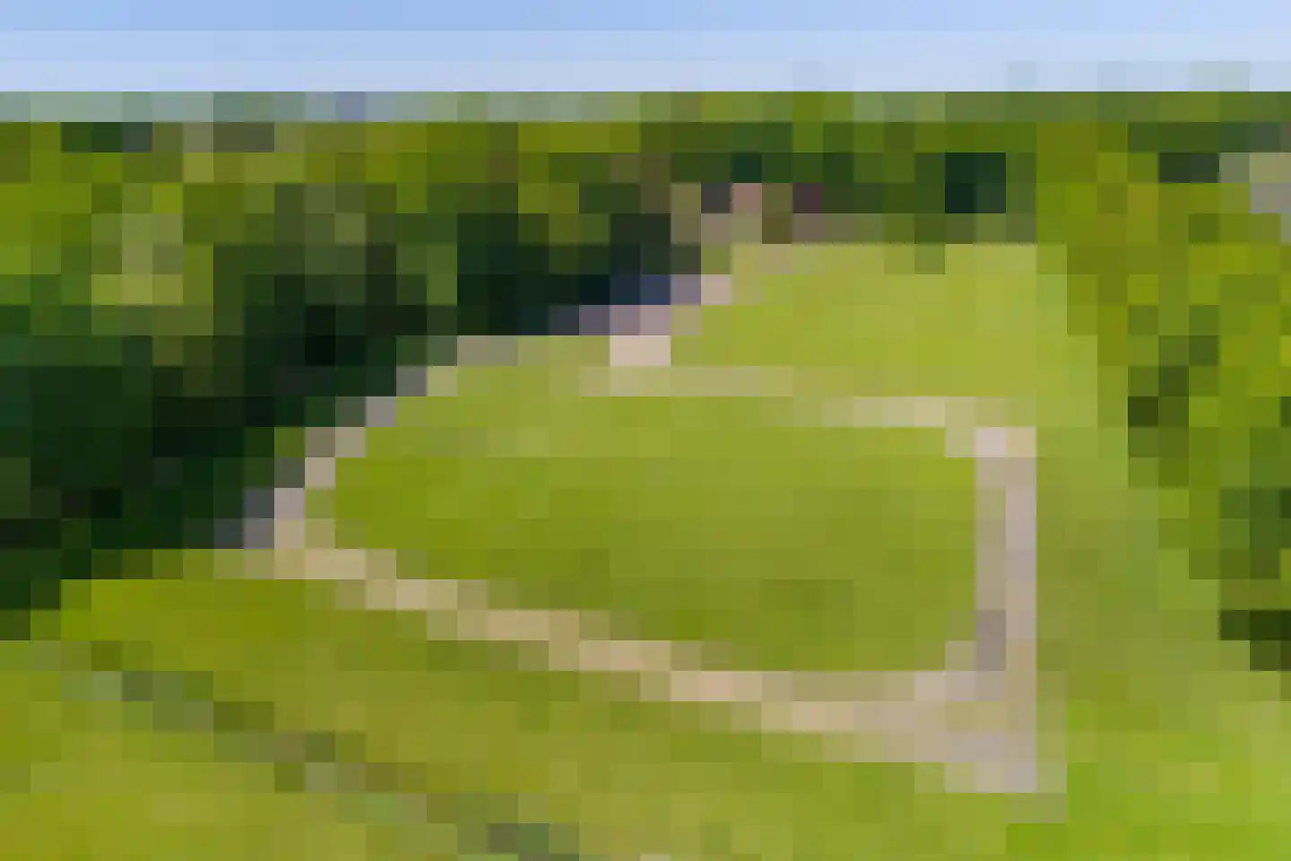 Kleine Linderesweg 50 Enschede thumbnail 8
