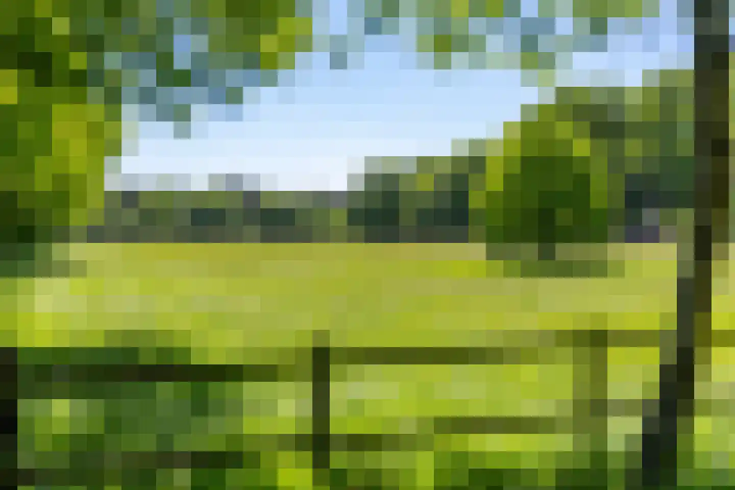 Kleine Linderesweg 50 Enschede thumbnail 9