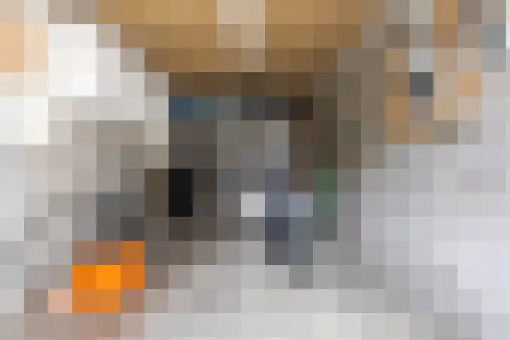 Kleine Maote 15 Aalten thumbnail 20