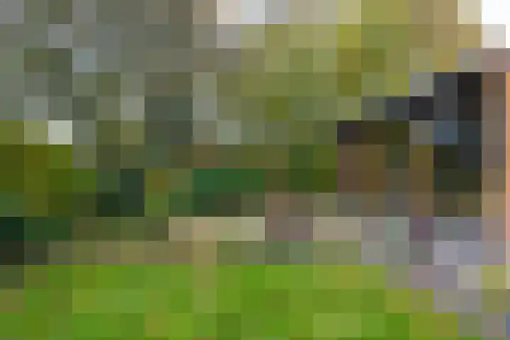 Kleine Maote 15 Aalten thumbnail 22