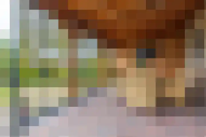 Kleine Maote 15 Aalten thumbnail 23