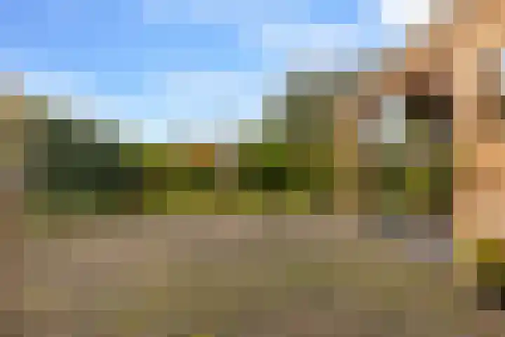 Kleine Maote 15 Aalten thumbnail 24
