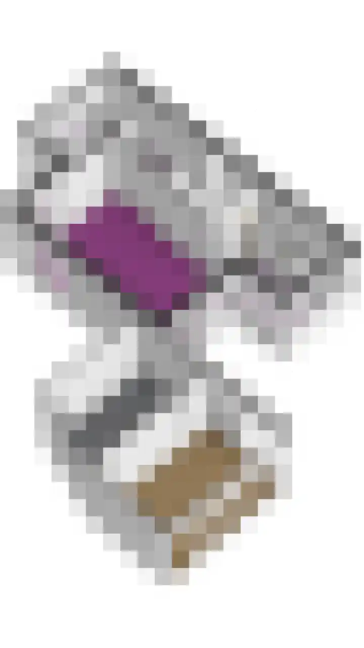 Kleine Maote 15 Aalten thumbnail 33