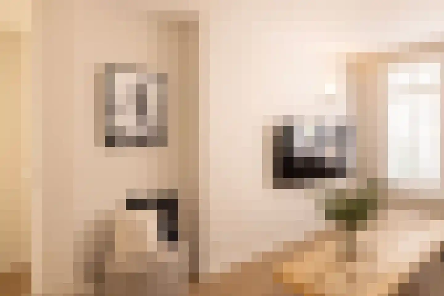 Kleine Marktstraat 2 Harderwijk thumbnail 12