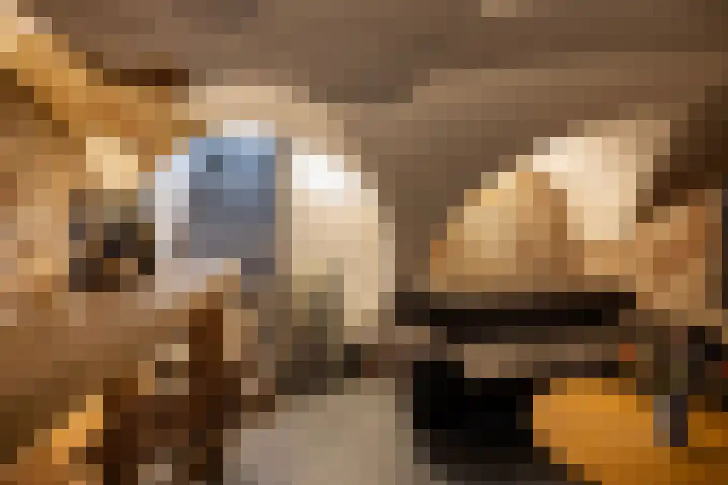Kleine Marktstraat 2 Harderwijk thumbnail 15
