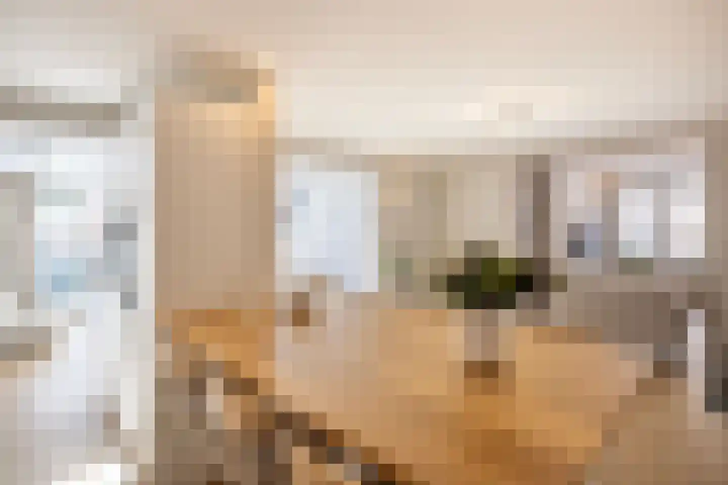 Kleine Marktstraat 2 Harderwijk thumbnail 19