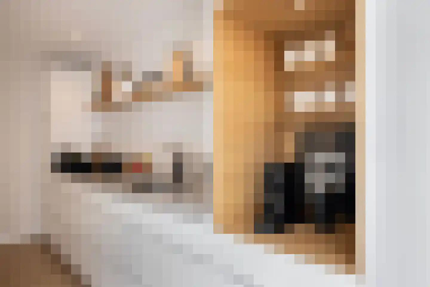 Kleine Marktstraat 2 Harderwijk thumbnail 20