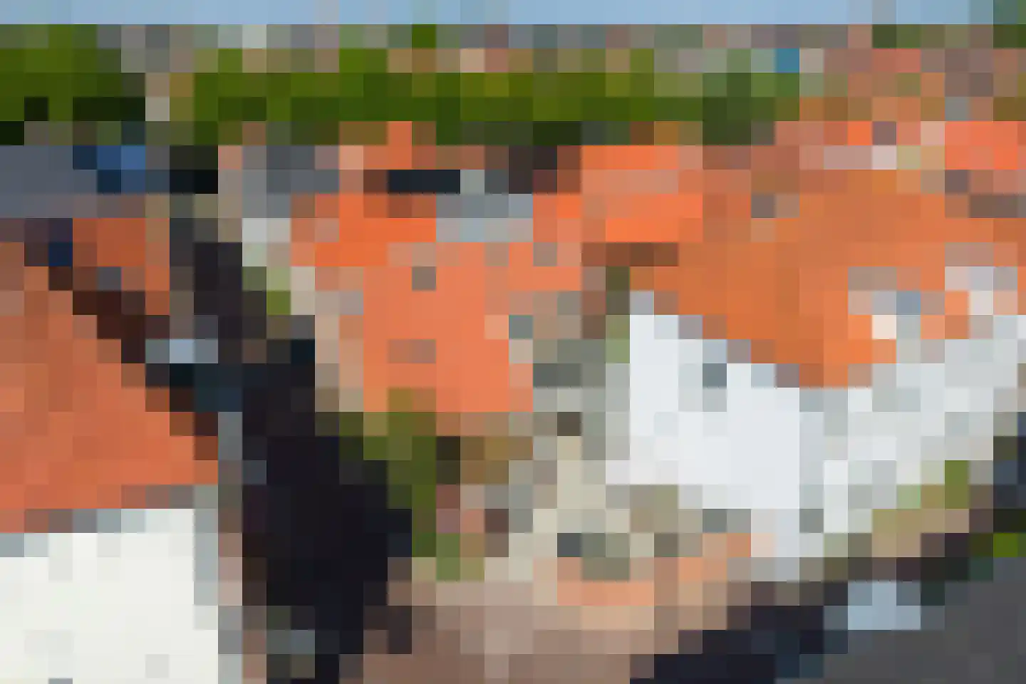 Kleine Marktstraat 2 Harderwijk thumbnail 5