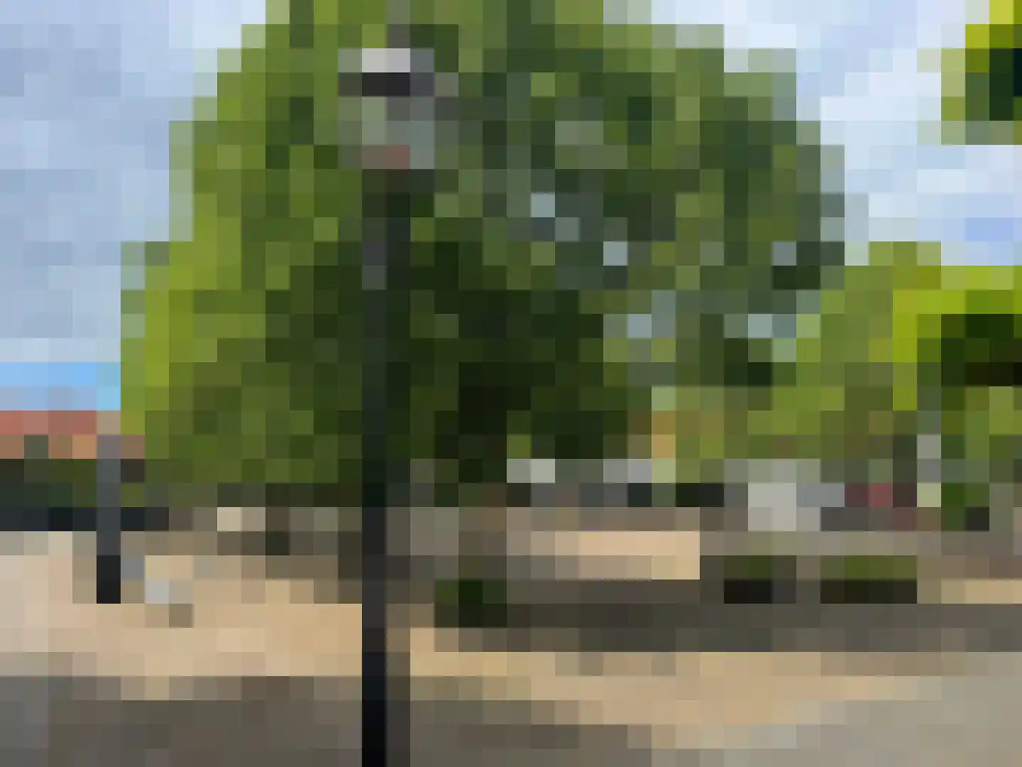 Kleine Marktstraat 2 Harderwijk thumbnail 55