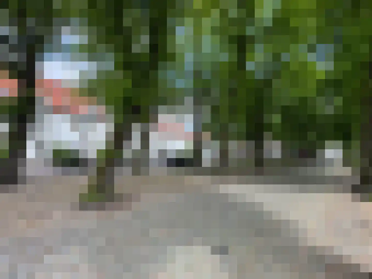 Kleine Marktstraat 2 Harderwijk thumbnail 56