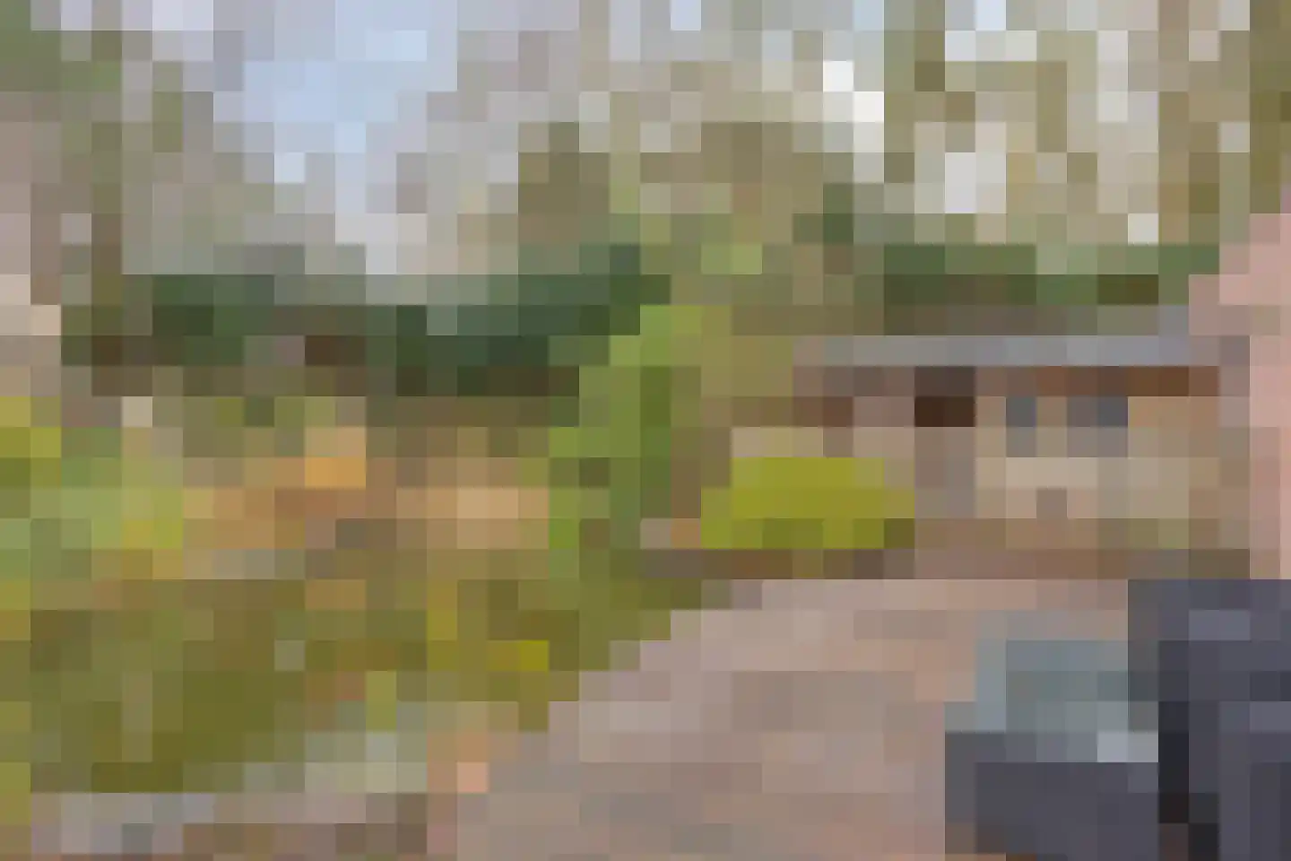 Kleine Meerlaan 12 Valkenswaard thumbnail 28