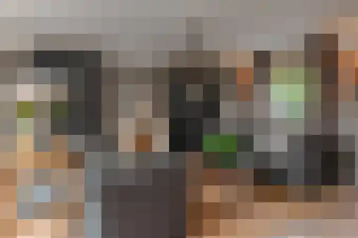 Kleine Molen 4 Bleiswijk thumbnail 10