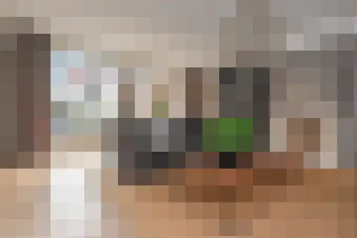 Kleine Molen 4 Bleiswijk thumbnail 11