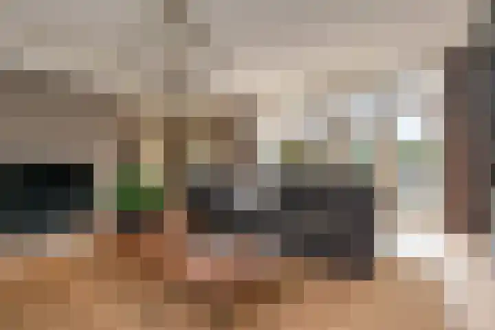 Kleine Molen 4 Bleiswijk thumbnail 13