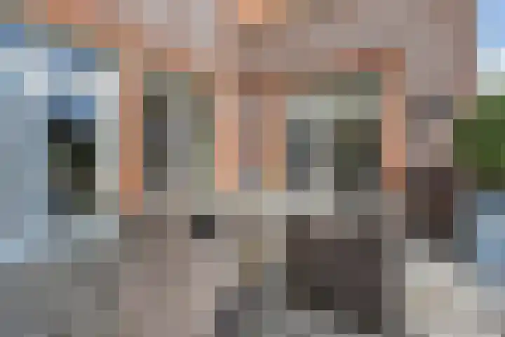 Kleine Molen 4 Bleiswijk thumbnail 14