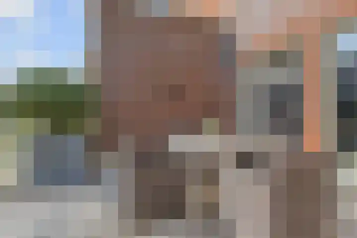 Kleine Molen 4 Bleiswijk thumbnail 15