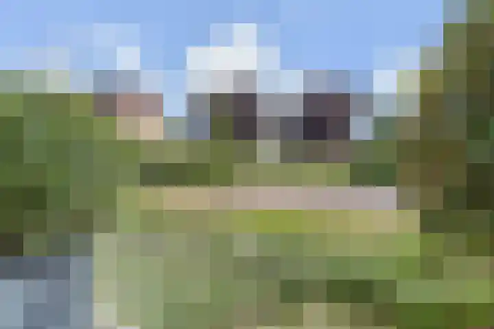 Kleine Molen 4 Bleiswijk thumbnail 16