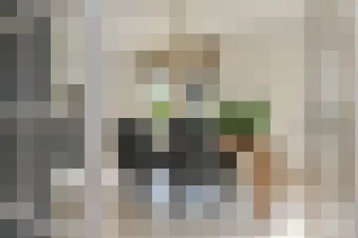 Kleine Molen 4 Bleiswijk thumbnail 17