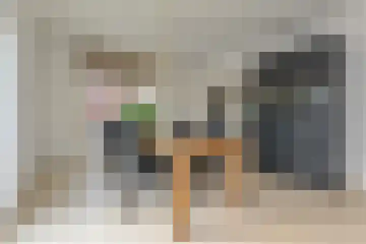 Kleine Molen 4 Bleiswijk thumbnail 18