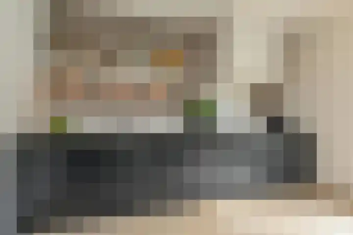 Kleine Molen 4 Bleiswijk thumbnail 19
