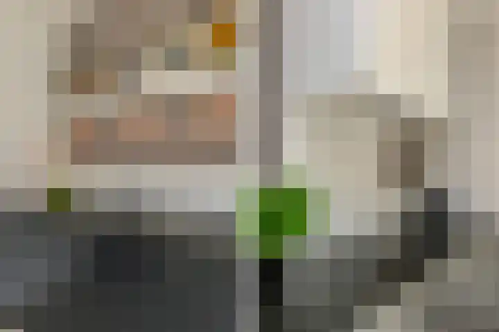 Kleine Molen 4 Bleiswijk thumbnail 20