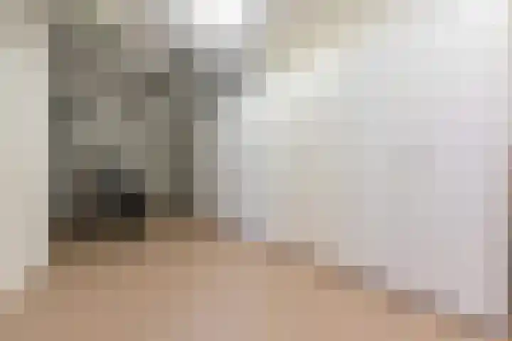Kleine Molen 4 Bleiswijk thumbnail 21