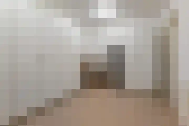 Kleine Molen 4 Bleiswijk thumbnail 22