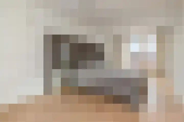 Kleine Molen 4 Bleiswijk thumbnail 25