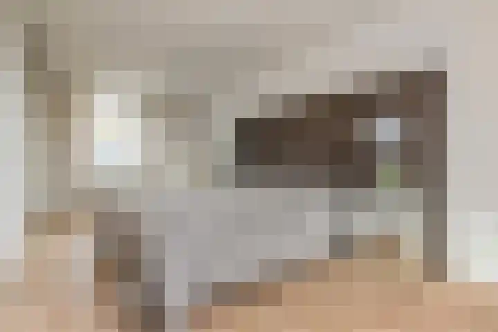 Kleine Molen 4 Bleiswijk thumbnail 26