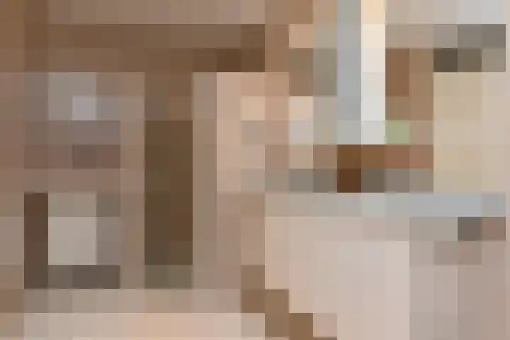 Kleine Molen 4 Bleiswijk thumbnail 30