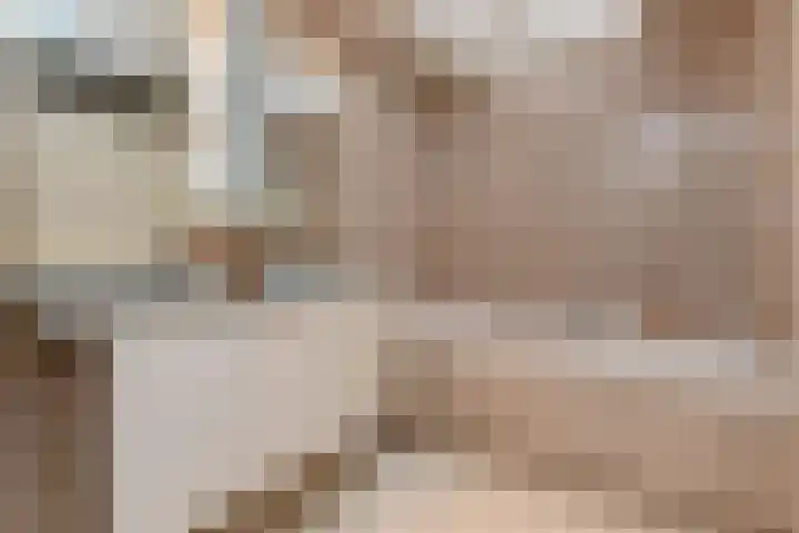 Kleine Molen 4 Bleiswijk thumbnail 31