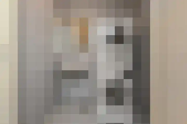 Kleine Molen 4 Bleiswijk thumbnail 33
