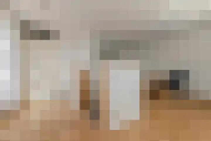 Kleine Molen 4 Bleiswijk thumbnail 34