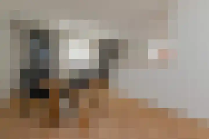 Kleine Molen 4 Bleiswijk thumbnail 37