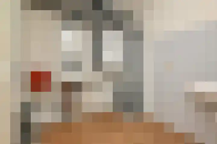 Kleine Molen 4 Bleiswijk thumbnail 39