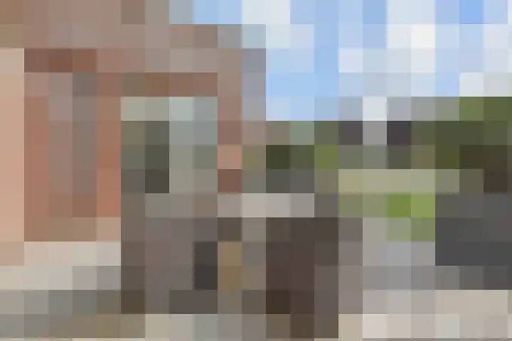 Kleine Molen 4 Bleiswijk thumbnail 4