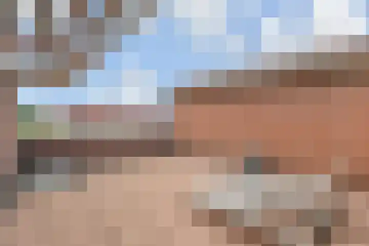 Kleine Molen 4 Bleiswijk thumbnail 40