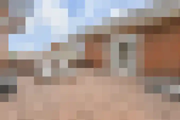 Kleine Molen 4 Bleiswijk thumbnail 42
