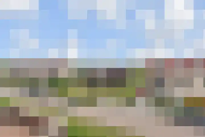 Kleine Molen 4 Bleiswijk thumbnail 43