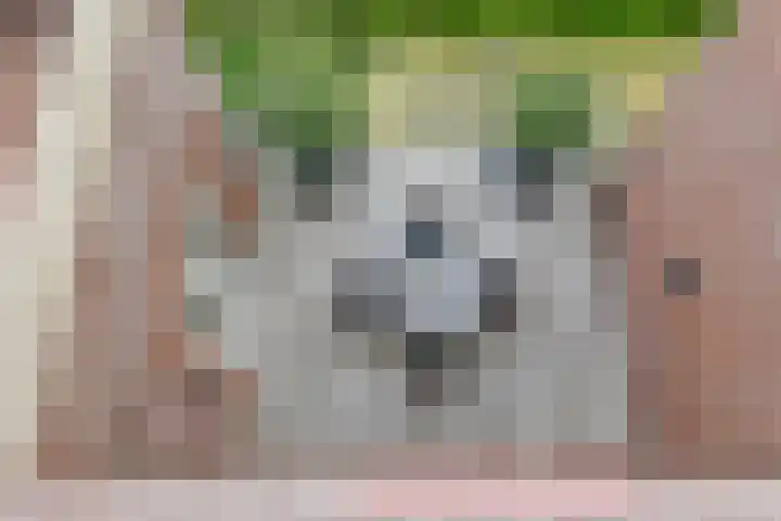Kleine Molen 4 Bleiswijk thumbnail 44